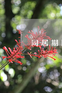同居期間未婚先孕違法嗎？
